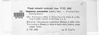 Image Associated With the Occurence